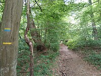 IMG_20250518_130300673