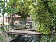 IMG_20250518_095545938