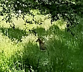 IMG_20250519_150836179~3
