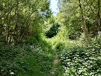 IMG_20250519_145932907_HDR