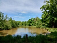 IMG_20250519_145244153_HDR