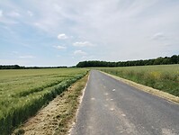 IMG_20250519_142739435