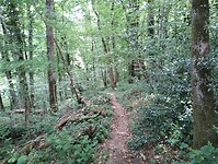 IMG_20250519_141229138