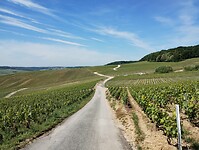 IMG_20250519_111526860