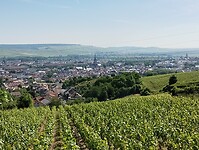 IMG_20250519_105250160