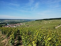 IMG_20250519_092731580