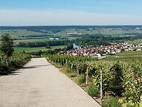 IMG_20250519_092659849