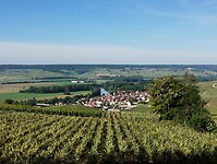 IMG_20250519_092235935
