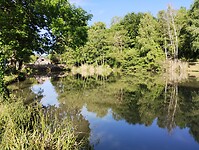 IMG_20250519_084927171
