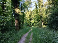 IMG_20250519_084423118_HDR