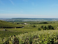 IMG_20250519_082003308