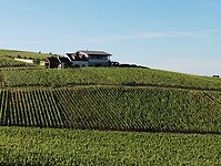 IMG_20250519_081955139