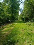 IMG-20250519-WA0010