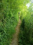 IMG-20250519-WA0009
