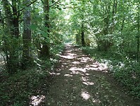 IMG_20250520_140344272
