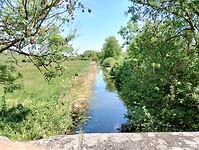 IMG_20250520_135517197_HDR
