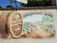 IMG_20250520_134108513
