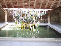 IMG_20250520_120755859