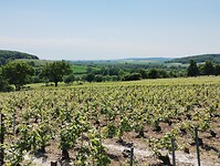 IMG_20250520_120234760