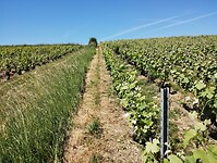 IMG_20250520_115921705
