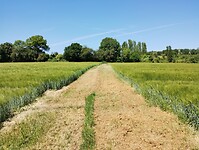 IMG_20250520_115459639