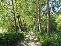 IMG_20250520_114142102