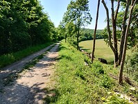 IMG_20250520_112716335_HDR