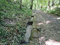IMG_20250520_105907423