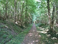 IMG_20250520_105323206