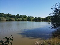 IMG_20250520_100846107