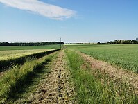 IMG_20250520_092522855