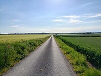 IMG_20250520_090043256_HDR