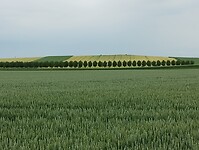 IMG_20250521_151744249