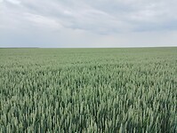 IMG_20250521_145530491