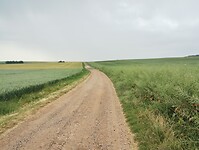 IMG_20250521_135747621