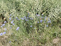 IMG_20250521_135706543