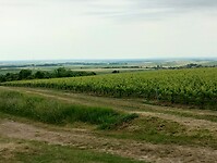 IMG_20250521_133320243_HDR