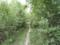 IMG_20250521_132217602