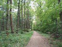 IMG_20250521_131412860