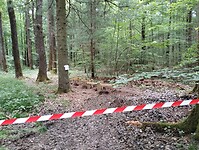 IMG_20250521_131401438