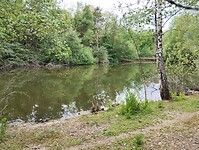 IMG_20250521_130917960