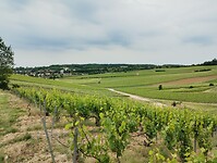 IMG_20250521_112902901