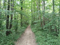 IMG_20250521_112358976