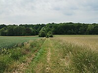 IMG_20250521_104321248