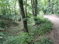 IMG_20250521_104052354