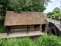 IMG_20250521_103641984_HDR