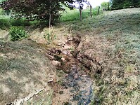 IMG_20250521_095316950