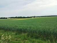 IMG_20250521_093536592