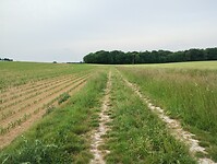 IMG_20250521_085131663