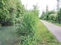 IMG_20250522_145755364